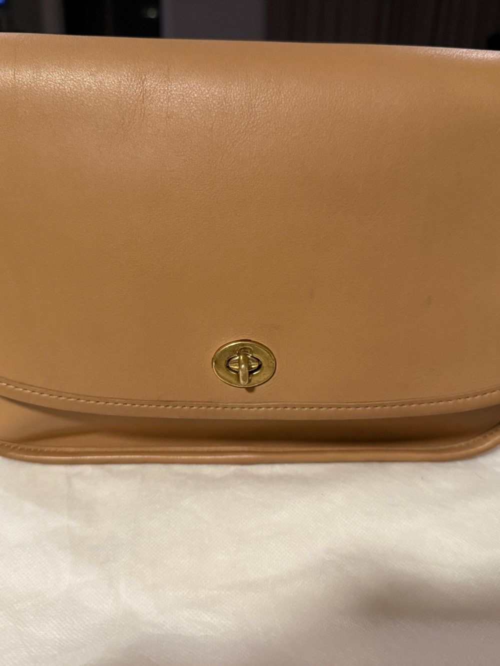 Coach stone city bag